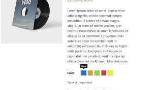 Product detail page