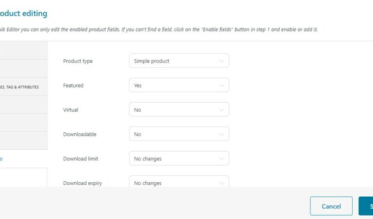 Bulk product editing - Advanced