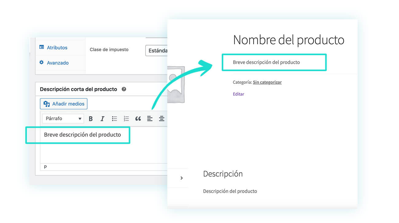 Vista del cliente de breve descripción del producto