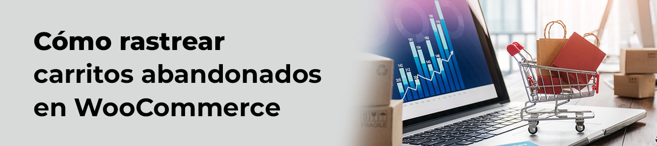 Cómo rastrear carritos abandonados en WooCommerce