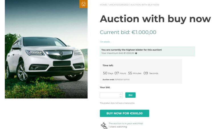 Auction with buy now option
