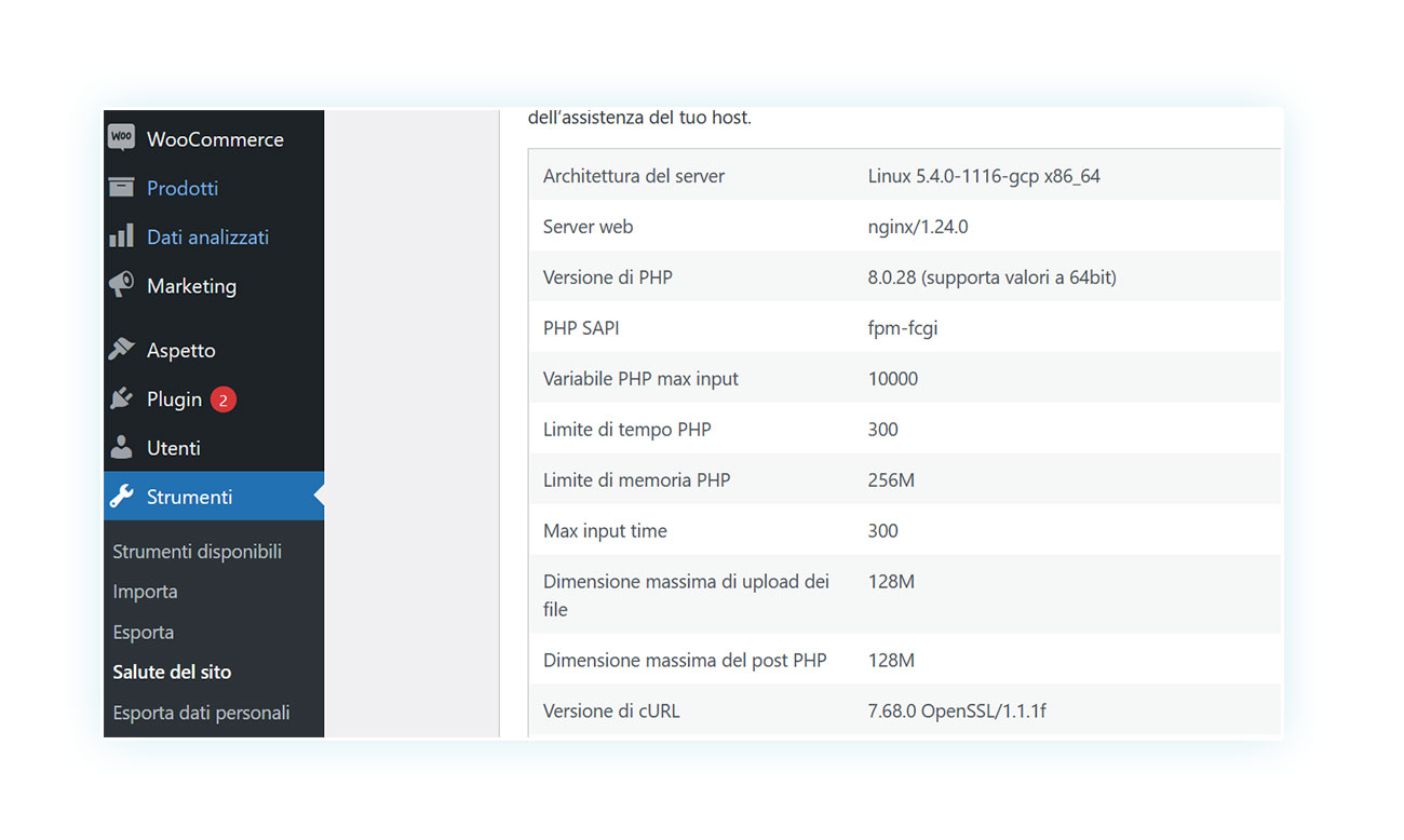 Informazioni del server, compresa la versione PHP