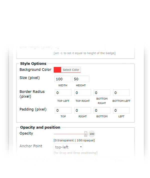 css options