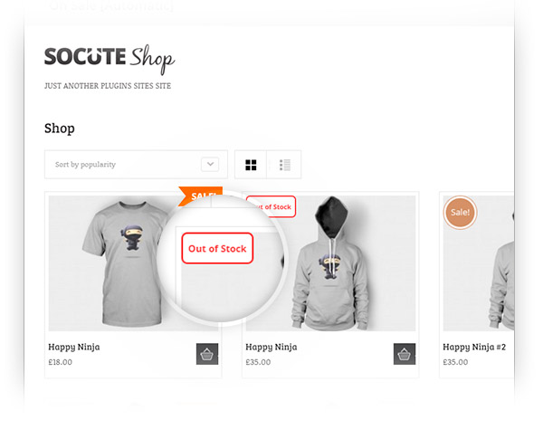 woocommerce hide out of stock products