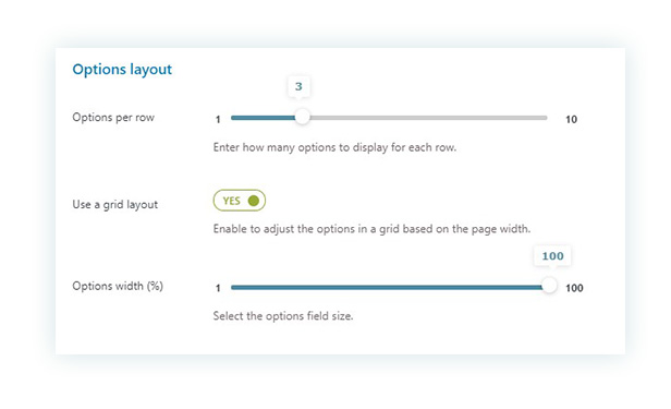 Options layout from the Display settings