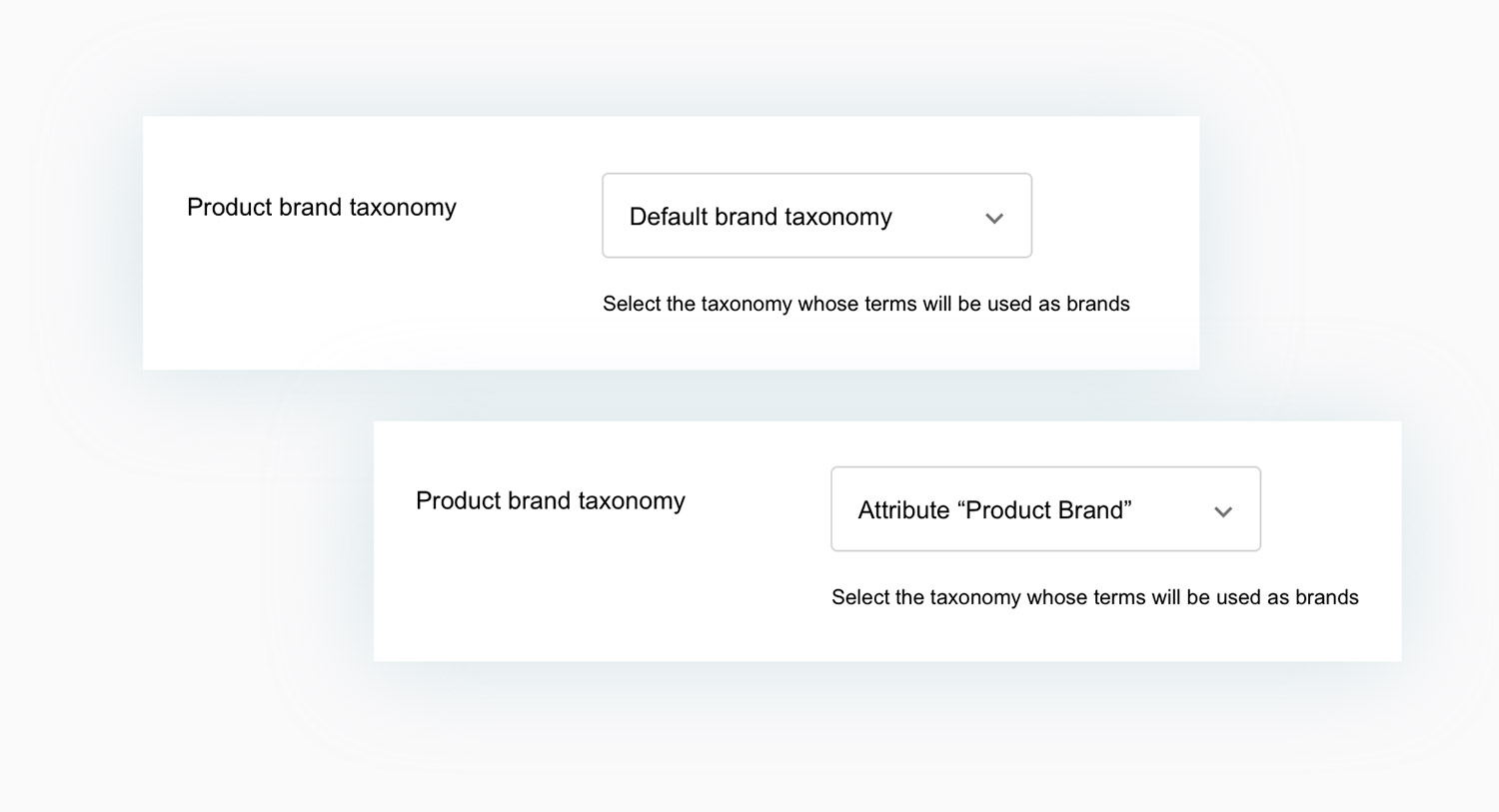 Taxonomy brands