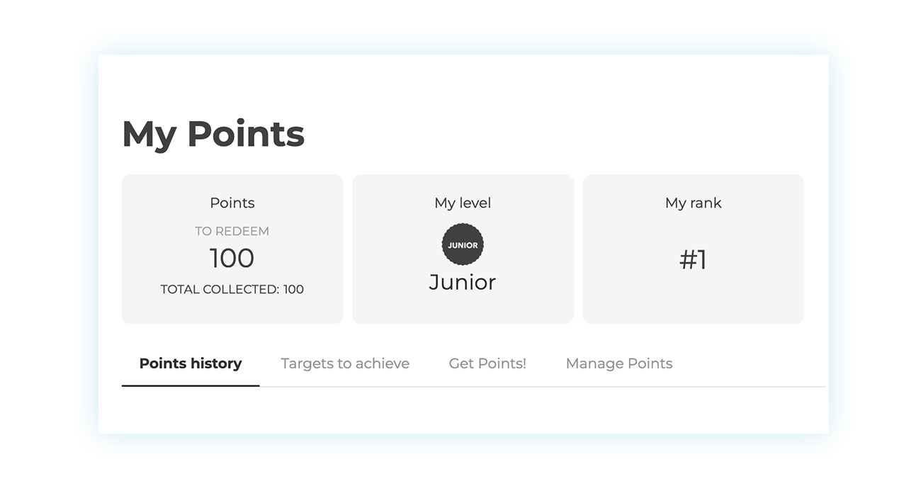 Points shown on the customer's account page